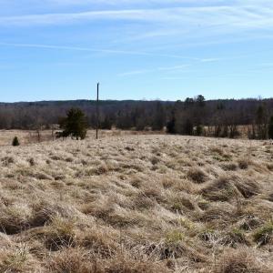 Photo #12 of Off Bill Compton Road and Longs Mill Road - Lot 3, Blanch, NC 10.2 acres