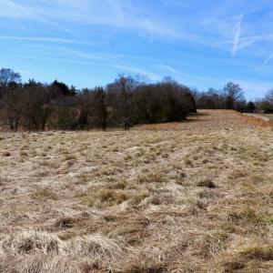 Photo #13 of Off Bill Compton Road and Longs Mill Road - Lot 3, Blanch, NC 10.2 acres