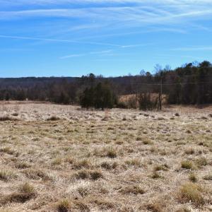 Photo #14 of Off Bill Compton Road and Longs Mill Road - Lot 3, Blanch, NC 10.2 acres