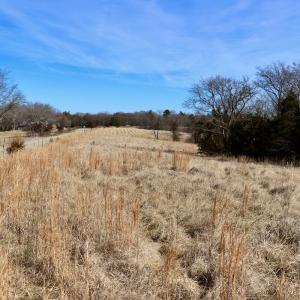 Photo #15 of Off Bill Compton Road and Longs Mill Road - Lot 3, Blanch, NC 10.2 acres