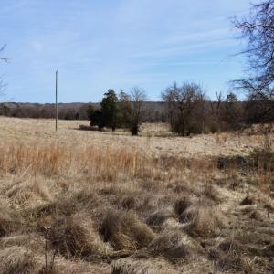 Photo #16 of Off Bill Compton Road and Longs Mill Road - Lot 3, Blanch, NC 10.2 acres