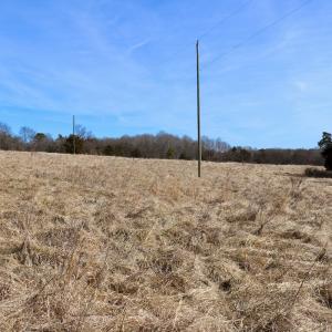 Photo #17 of Off Bill Compton Road and Longs Mill Road - Lot 3, Blanch, NC 10.2 acres
