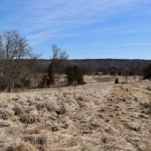 Photo #18 of Off Bill Compton Road and Longs Mill Road - Lot 3, Blanch, NC 10.2 acres