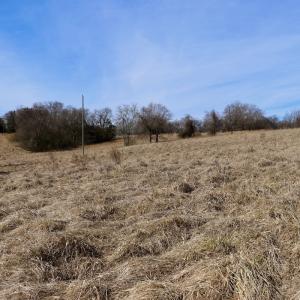 Photo #19 of Off Bill Compton Road and Longs Mill Road - Lot 3, Blanch, NC 10.2 acres