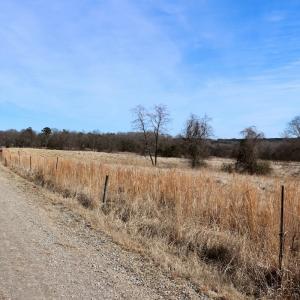 Photo #21 of Off Bill Compton Road and Longs Mill Road - Lot 3, Blanch, NC 10.2 acres