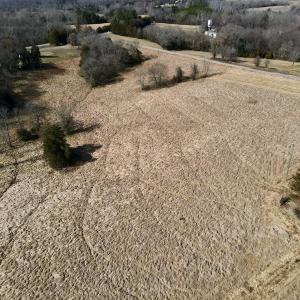 Photo #5 of Off Bill Compton Road and Longs Mill Road - Lot 3, Blanch, NC 10.2 acres