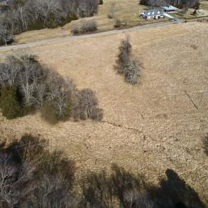 Photo #7 of Off Bill Compton Road and Longs Mill Road - Lot 3, Blanch, NC 10.2 acres