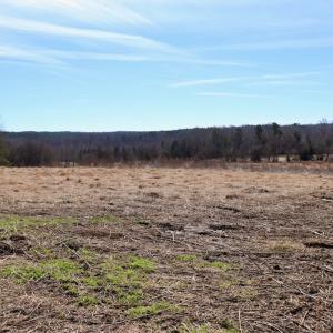 Photo #14 of Off Bill Compton Road - Lot 4, Blanch, NC 10.2 acres