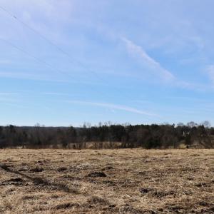 Photo #15 of Off Bill Compton Road - Lot 4, Blanch, NC 10.2 acres