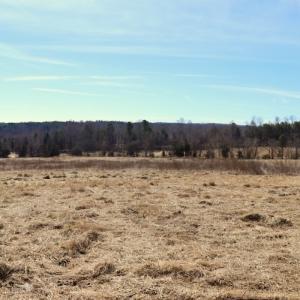 Photo #16 of Off Bill Compton Road - Lot 4, Blanch, NC 10.2 acres