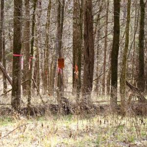 Photo #18 of Off Bill Compton Road - Lot 4, Blanch, NC 10.2 acres
