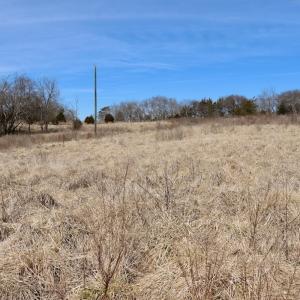 Photo #22 of Off Bill Compton Road - Lot 4, Blanch, NC 10.2 acres