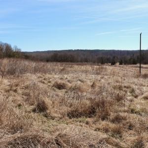 Photo #23 of Off Bill Compton Road - Lot 4, Blanch, NC 10.2 acres