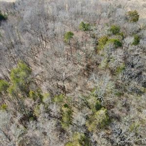 Photo #5 of Off Bill Compton Road - Lot 4, Blanch, NC 10.2 acres