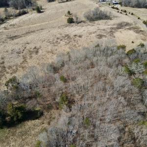 Photo #6 of Off Bill Compton Road - Lot 4, Blanch, NC 10.2 acres