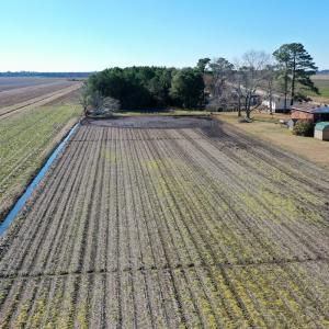 Photo #4 of SOLD property in Off Juniper Bay, Swan Quarter, NC 1.0 acres