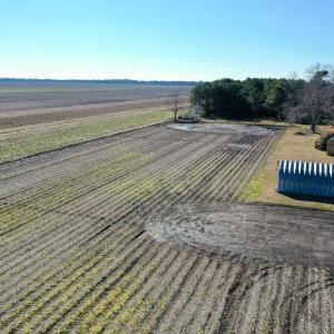 Photo #7 of SOLD property in Off Juniper Bay, Swan Quarter, NC 1.0 acres