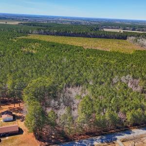 Photo #2 of off Hwy 305, Rich Square, NC 1.0 acres