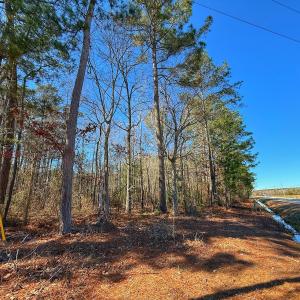Photo #25 of off Hwy 305, Rich Square, NC 1.0 acres