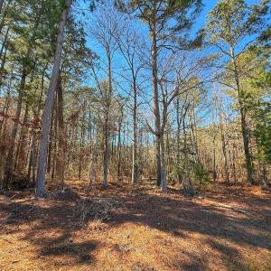 Photo #26 of off Hwy 305, Rich Square, NC 1.0 acres