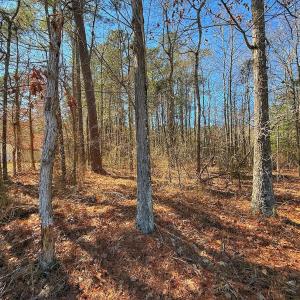 Photo #27 of off Hwy 305, Rich Square, NC 1.0 acres