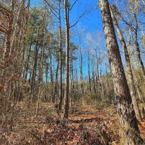 Photo #32 of off Hwy 305, Rich Square, NC 1.0 acres