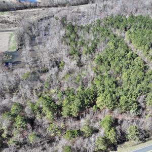 Photo #11 of SOLD property in Off South Grimesland Bridge Road, Grimesland, NC 16.0 acres