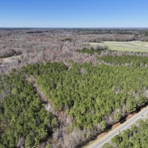 Photo #12 of SOLD property in Off South Grimesland Bridge Road, Grimesland, NC 16.0 acres