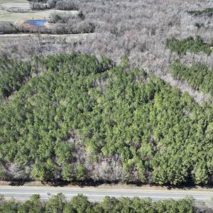 Photo #13 of SOLD property in Off South Grimesland Bridge Road, Grimesland, NC 16.0 acres