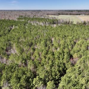 Photo #17 of SOLD property in Off South Grimesland Bridge Road, Grimesland, NC 16.0 acres