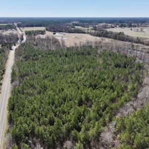 Photo #3 of SOLD property in Off South Grimesland Bridge Road, Grimesland, NC 16.0 acres