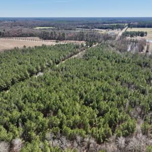 Photo #4 of SOLD property in Off South Grimesland Bridge Road, Grimesland, NC 16.0 acres