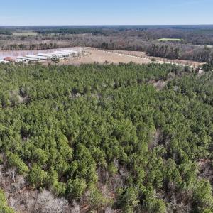 Photo #5 of SOLD property in Off South Grimesland Bridge Road, Grimesland, NC 16.0 acres