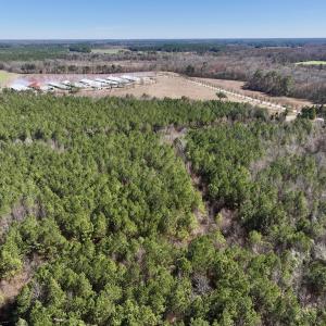 Photo #6 of SOLD property in Off South Grimesland Bridge Road, Grimesland, NC 16.0 acres
