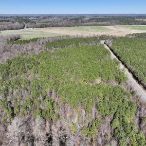 Photo #9 of SOLD property in Off South Grimesland Bridge Road, Grimesland, NC 16.0 acres