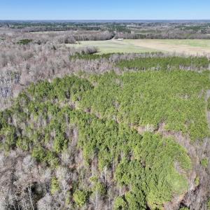 Photo #10 of SOLD property in Off South Grimesland Bridge Road, Grimesland, NC 16.0 acres