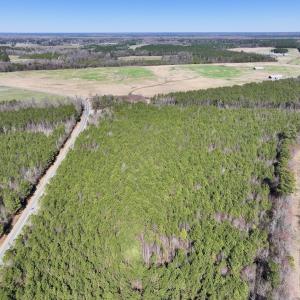Photo #11 of SOLD property in Off South Grimesland Bridge Road, Grimesland, NC 22.7 acres