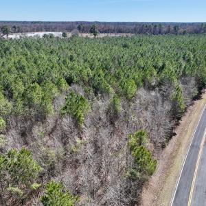 Photo #12 of SOLD property in Off South Grimesland Bridge Road, Grimesland, NC 22.7 acres