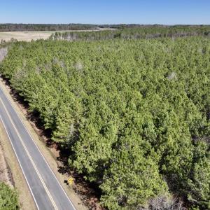 Photo #13 of SOLD property in Off South Grimesland Bridge Road, Grimesland, NC 22.7 acres