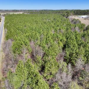 Photo #14 of SOLD property in Off South Grimesland Bridge Road, Grimesland, NC 22.7 acres