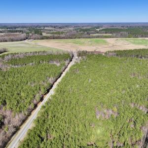 Photo #17 of SOLD property in Off South Grimesland Bridge Road, Grimesland, NC 22.7 acres