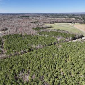 Photo #18 of SOLD property in Off South Grimesland Bridge Road, Grimesland, NC 22.7 acres