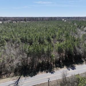 Photo #19 of SOLD property in Off South Grimesland Bridge Road, Grimesland, NC 22.7 acres