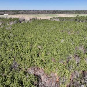 Photo #20 of SOLD property in Off South Grimesland Bridge Road, Grimesland, NC 22.7 acres
