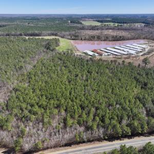 Photo #5 of SOLD property in Off South Grimesland Bridge Road, Grimesland, NC 22.7 acres