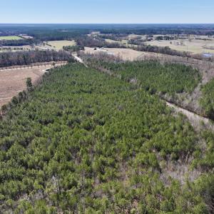Photo #7 of SOLD property in Off South Grimesland Bridge Road, Grimesland, NC 22.7 acres