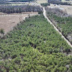 Photo #8 of SOLD property in Off South Grimesland Bridge Road, Grimesland, NC 22.7 acres