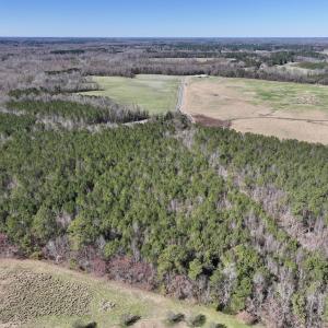 Photo #9 of SOLD property in Off South Grimesland Bridge Road, Grimesland, NC 22.7 acres