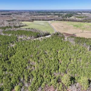 Photo #10 of SOLD property in Off South Grimesland Bridge Road, Grimesland, NC 22.7 acres