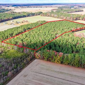 Photo #2 of SOLD property in Off Schoolhouse Rd, Elizabeth City, NC 15.8 acres